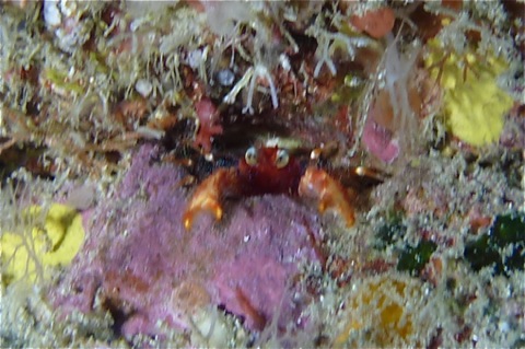 e0158261_2139264.jpg