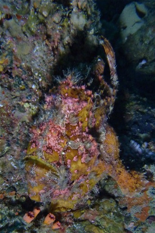 e0158261_213997.jpg