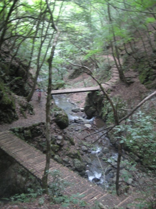 f0036263_2221147.jpg