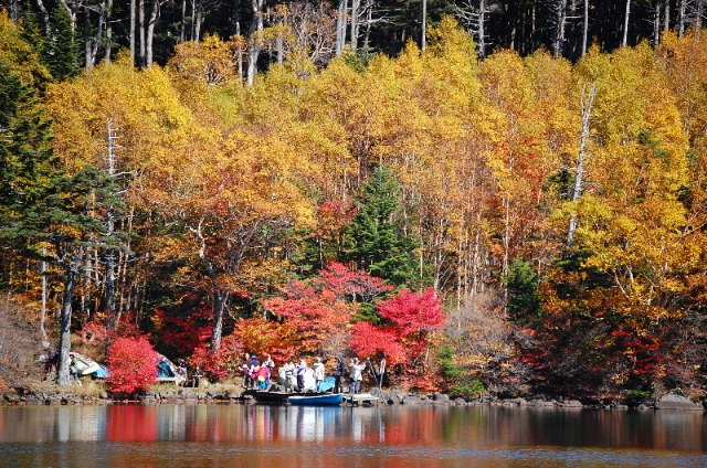 信州の紅葉だより２０１０　第一号・・・白駒池へ_d0172270_17171938.jpg