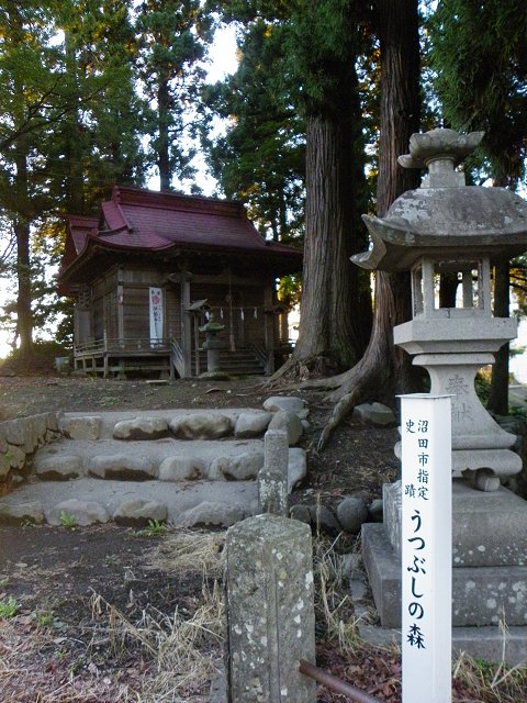 うつぶしの森 ～ 新田義宗討死の地 (沼田市)_b0004675_23343475.jpg