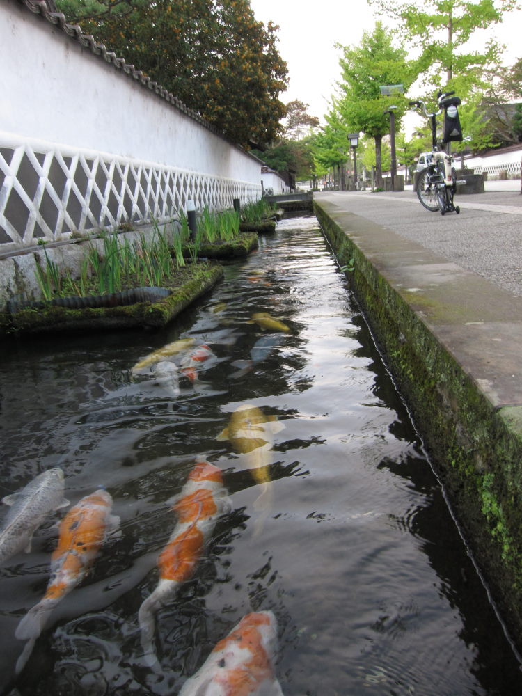 我が相棒・ブロンプトンとの旅から帰ってまいりました。_e0138081_19364030.jpg