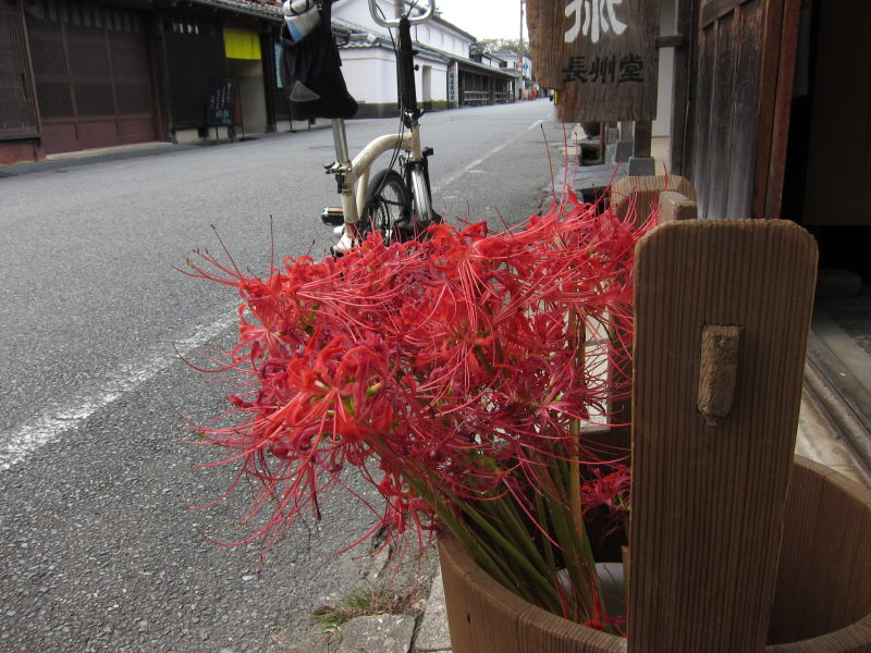 我が相棒・ブロンプトンとの旅から帰ってまいりました。_e0138081_19405761.jpg