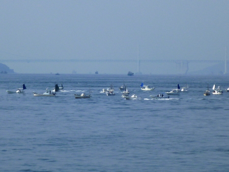 d0179983_22097.jpg
