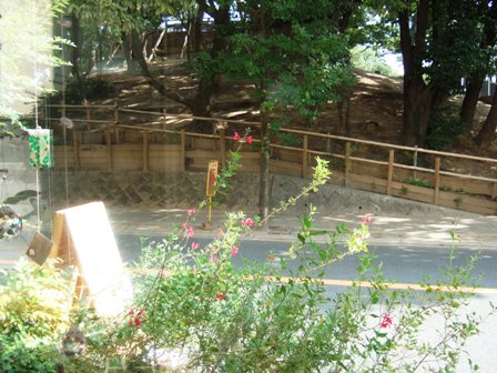 f0207585_12295050.jpg