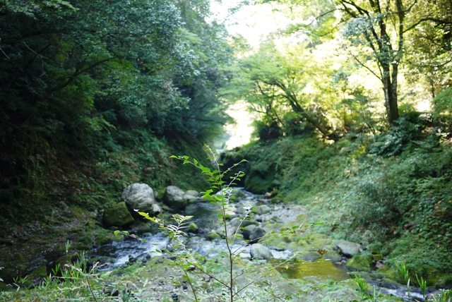 a0127090_23282720.jpg