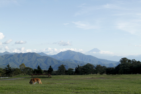 c0096393_22185327.jpg