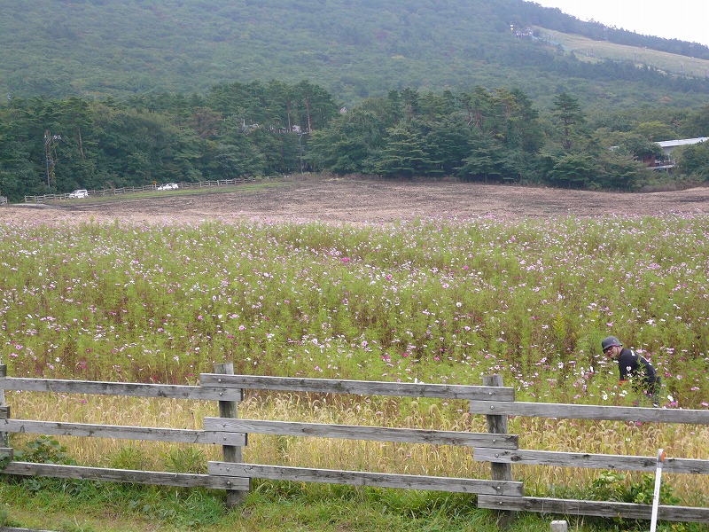 e0192093_1233060.jpg
