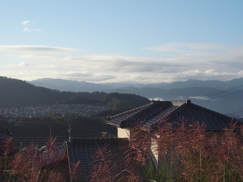 e0111396_02966.jpg