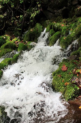 e0137200_2171567.jpg