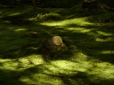 e0090501_16402716.jpg