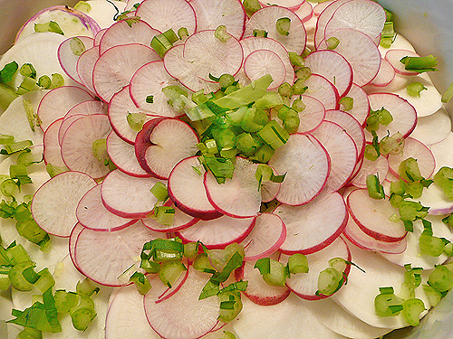 目白・野菜ソムリエの選んだ野菜_b0014003_15281195.jpg