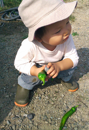 c0205304_0315236.jpg