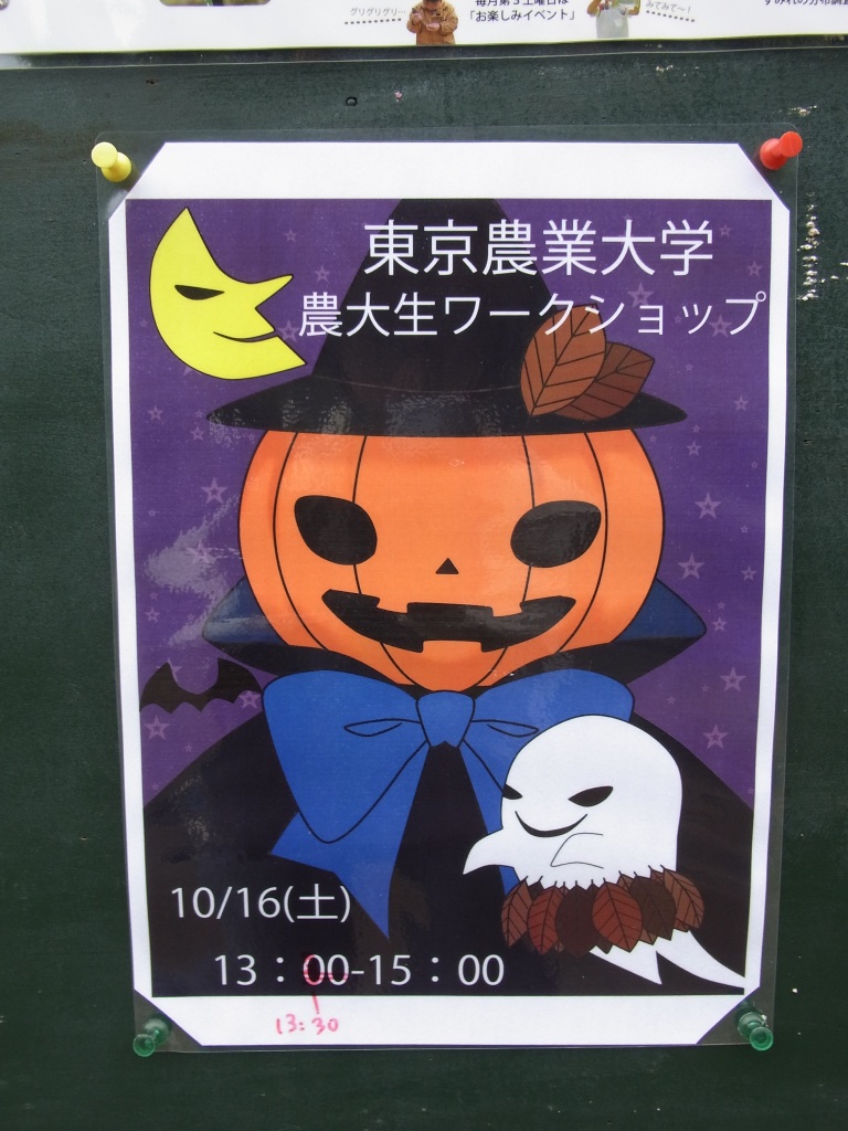 すみれば探検隊_b0049307_14151724.jpg