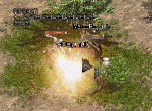 e0205008_20165219.gif