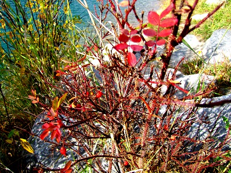 b0051109_10041.jpg