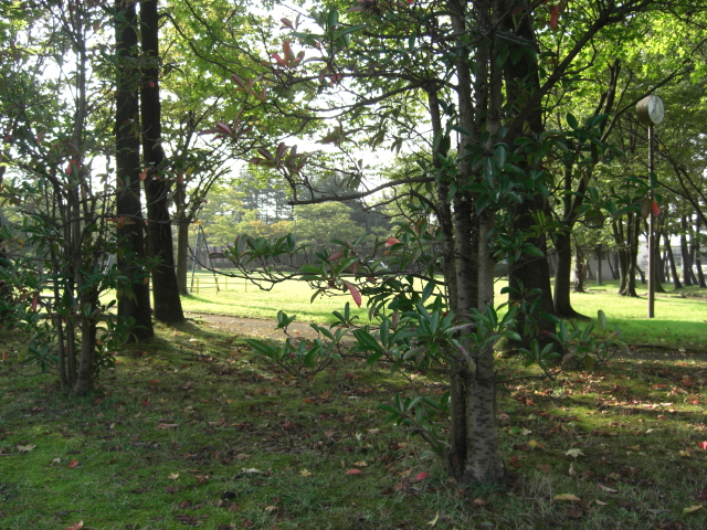 f0226713_12341036.jpg