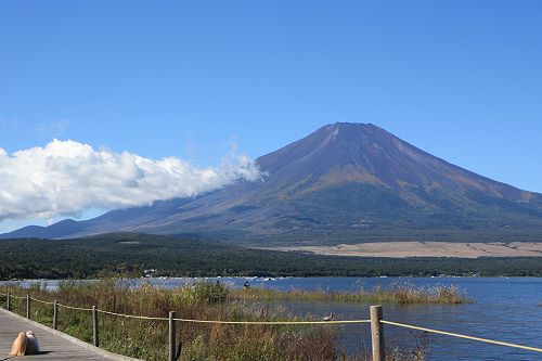 c0028424_2033472.jpg