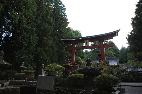 c0028424_20491772.jpg