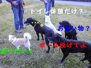 f0148927_18271633.jpg
