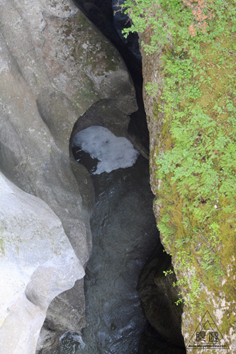 067 Maligne Canyon ~小さな被写体も美しい~_c0211532_1213322.jpg