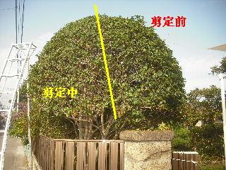 加速する作業_f0031037_2114582.jpg