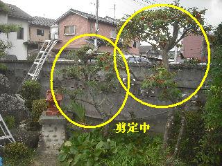 加速する作業_f0031037_21152360.jpg