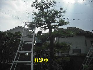 加速する作業_f0031037_21153332.jpg