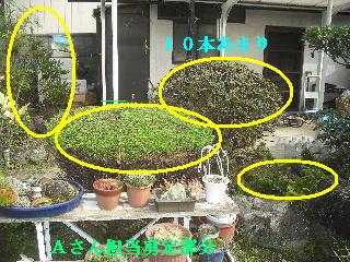 加速する作業_f0031037_21154036.jpg