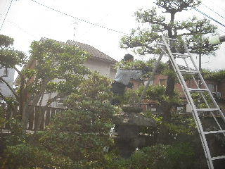 加速する作業_f0031037_2115512.jpg