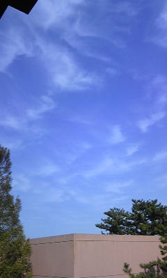 e0156339_17512838.jpg