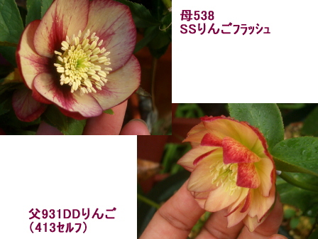 c0025140_21572331.jpg
