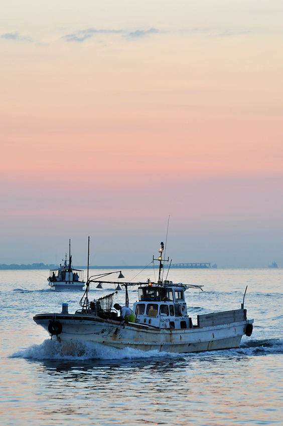今週の通勤撮影も須磨漁港です。_d0148541_2003238.jpg