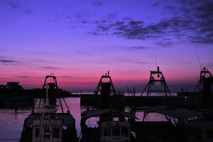今週の通勤撮影も須磨漁港です。_d0148541_200972.jpg