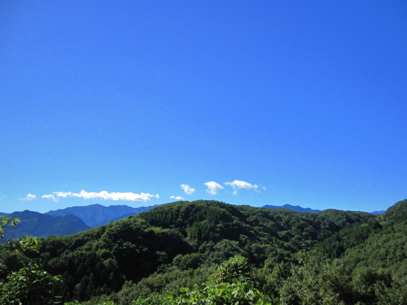 b0097747_13303959.jpg