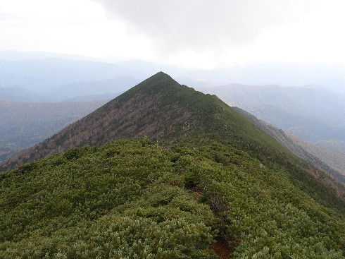 c0037553_61513.jpg