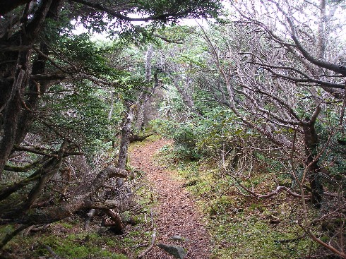c0037553_61546.jpg
