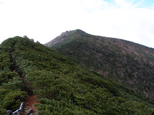 c0037553_63862.jpg