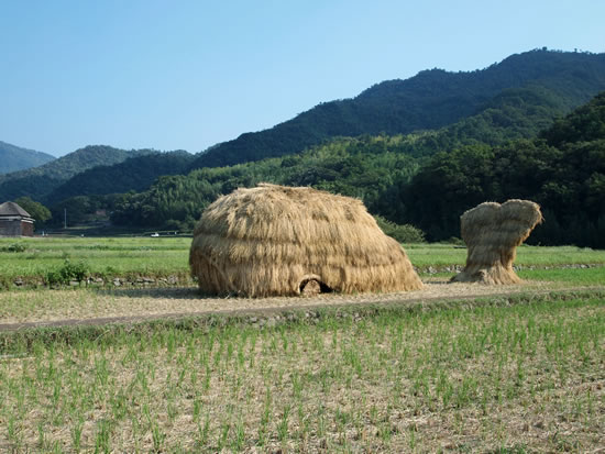 2010.10.4　瀬戸内国際芸術祭の旅(1日目 -小豆島-)_d0078656_18144167.jpg