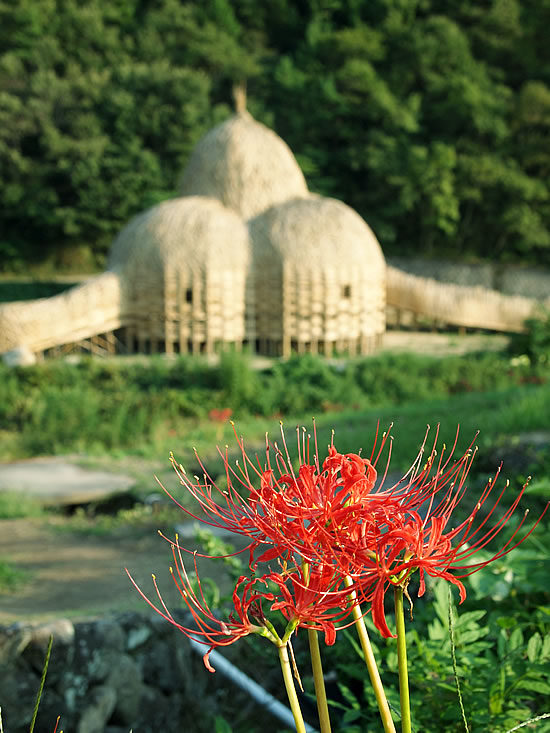 2010.10.4　瀬戸内国際芸術祭の旅(1日目 -小豆島-)_d0078656_18272480.jpg