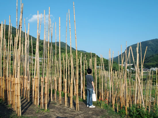 2010.10.4　瀬戸内国際芸術祭の旅(1日目 -小豆島-)_d0078656_18273171.jpg