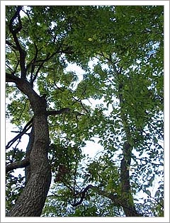 e0091161_22181420.jpg