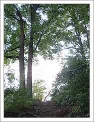 e0091161_22335029.jpg