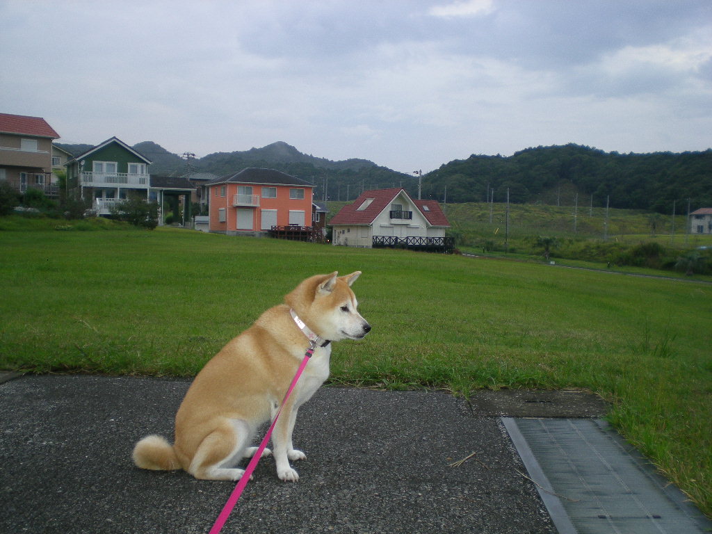 2010年10月14日(木)旅の準備!_f0060461_9335619.jpg