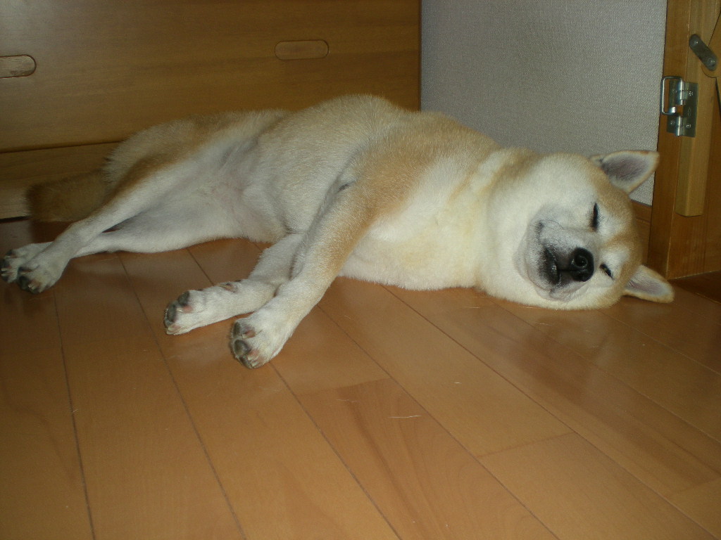 2010年10月14日(木)旅の準備!_f0060461_9384431.jpg