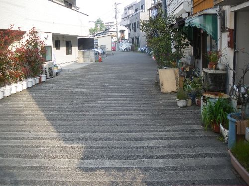 b0206463_16504483.jpg