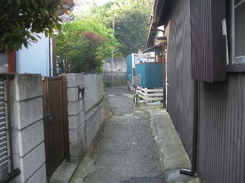 b0206463_1653175.jpg