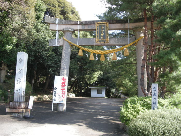 b0185573_67419.jpg