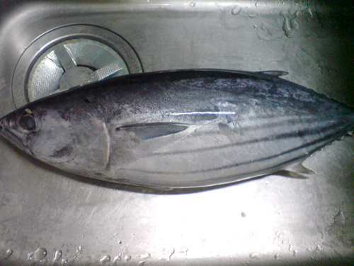 c0044673_13234766.jpg