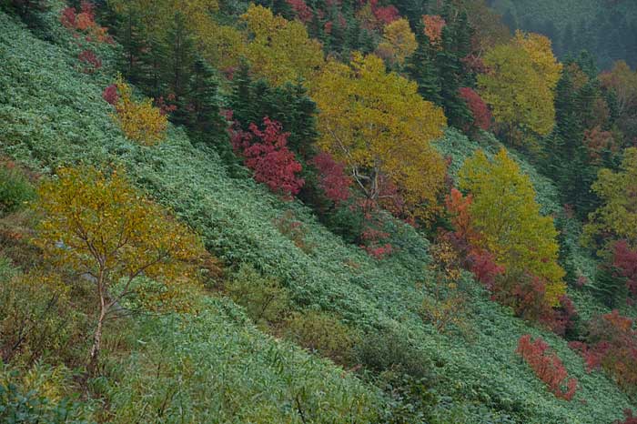 群馬県渋峠〜山田峠_c0085877_730571.jpg